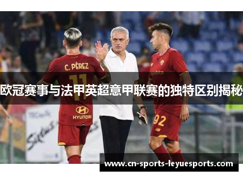 欧冠赛事与法甲英超意甲联赛的独特区别揭秘
