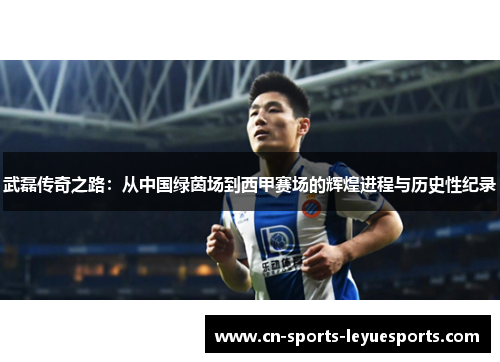 武磊传奇之路：从中国绿茵场到西甲赛场的辉煌进程与历史性纪录