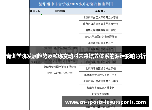 青训学院发展趋势及教练变动对未来培养体系的深远影响分析