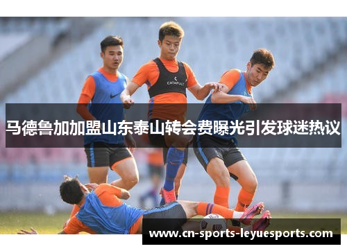 马德鲁加加盟山东泰山转会费曝光引发球迷热议