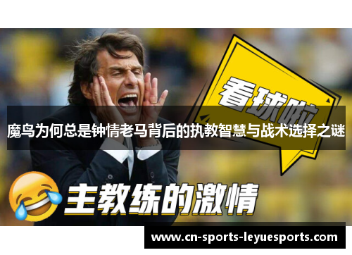 魔鸟为何总是钟情老马背后的执教智慧与战术选择之谜