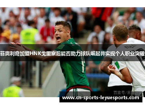 菲奥利奇加盟HNK戈里察后能否助力球队崛起并实现个人职业突破