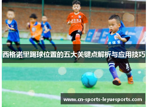 西格诺里踢球位置的五大关键点解析与应用技巧